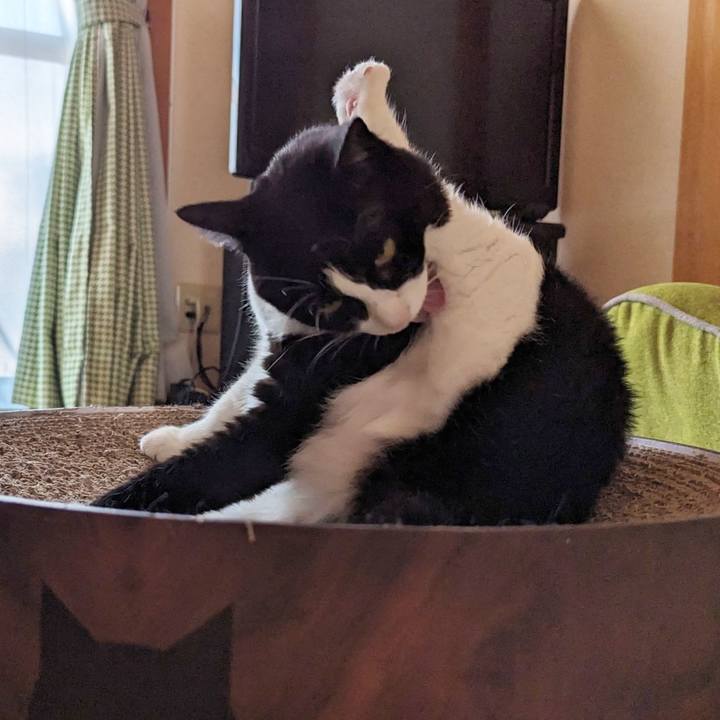 Aae66f7a f103 4669 939e dd1d40b8e30d 1694576735086