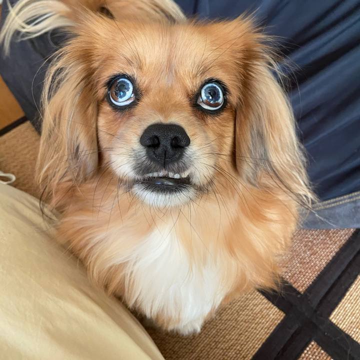 Aae66fc7 b001 4b01 b3d9 b036b5c0663f 1606612434564