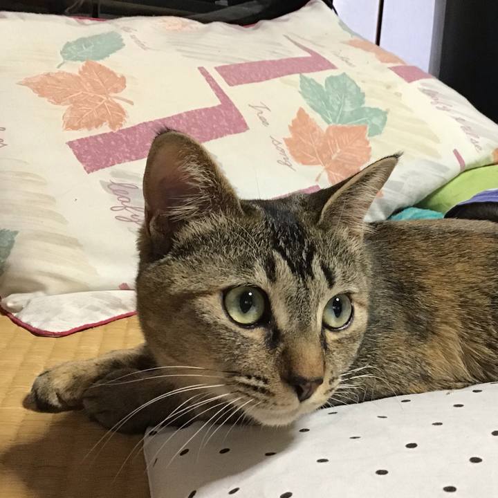 Aae68afc ba2f 4d37 a967 22a8c06126a8 1584162470233