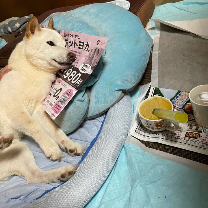 Aae69a45 1595 4528 ad3e 570e16235c08 1654260191105