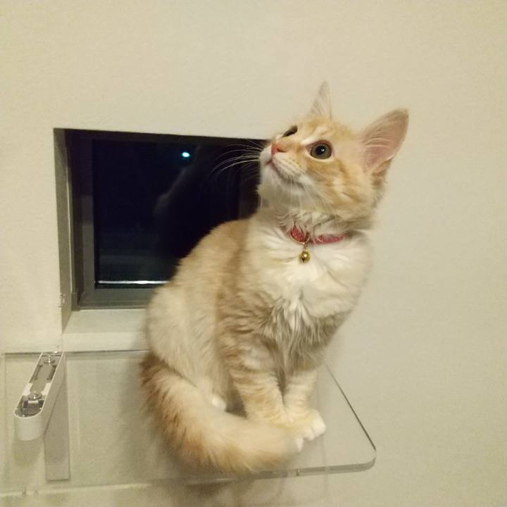 Aae69a73 3e56 4263 b4e5 896f68538785 1608122059517