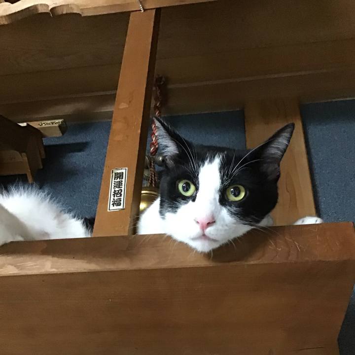 Aae6a0e0 f395 49e5 b3f9 68fe465d2f5b 1661945194567