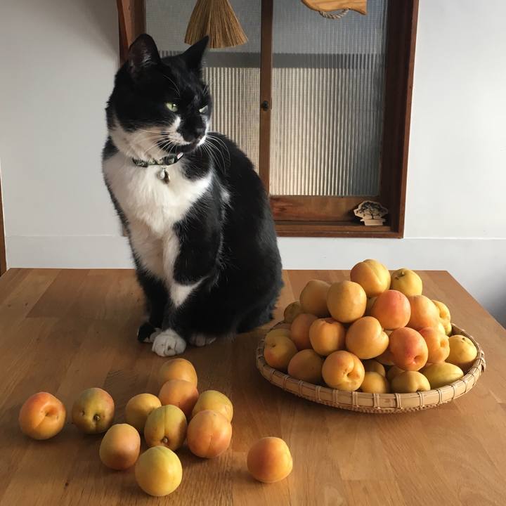 Aae6bd97 6ba8 4002 815f 61e9ca64d4fb 1529572689327