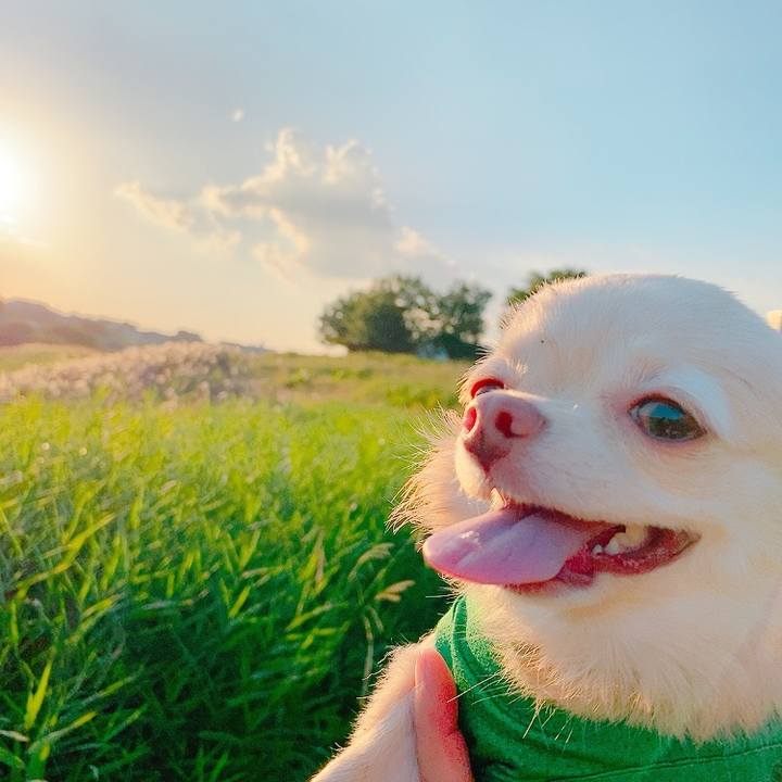 Aae6cfa4 89d1 46e7 9273 0227638ea03f 1633874866717