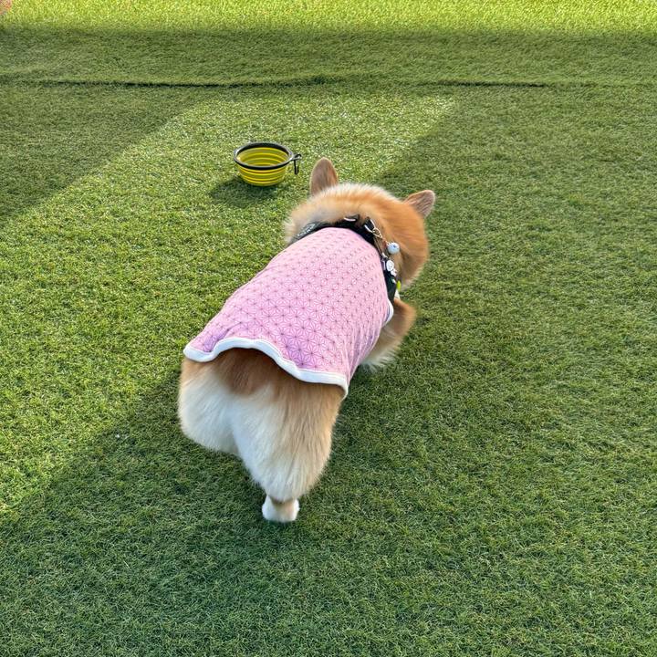 Aae73ba0 6779 451e a6ca 46dbe7381bd5 1767669308413