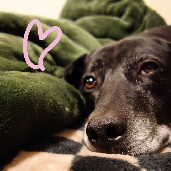 Aae748a0 aced 4d79 a2e3 4c8f6cb2e820 1738580353472