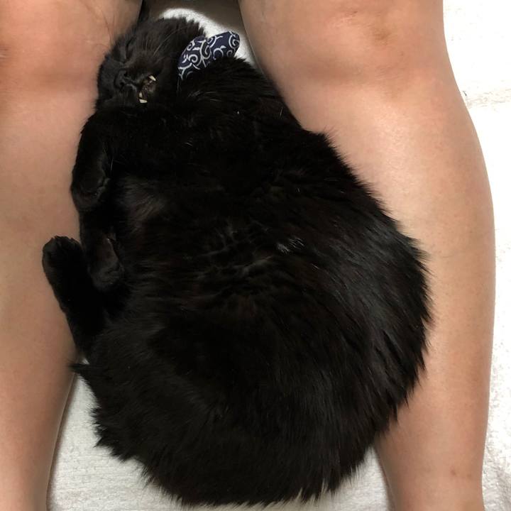 Aae76045 487c 404a 93e1 31142e1fe609 1580566830685