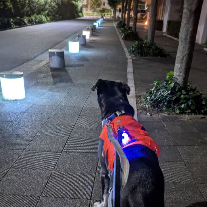 Aae78ef3 c396 4a46 a2a6 f2454ef6d17a 1728817367972