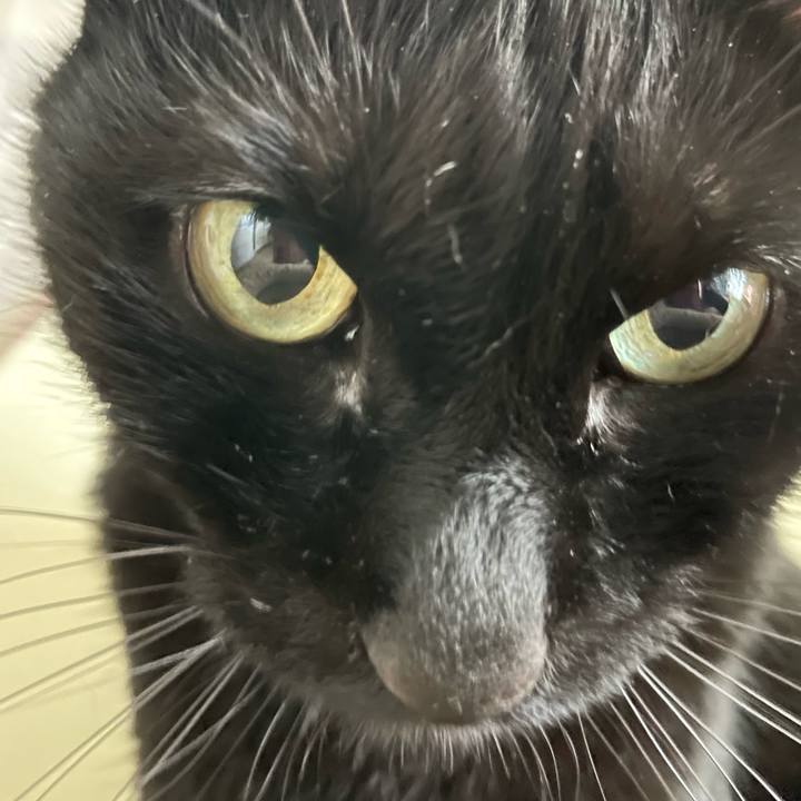 Aae79377 1955 4d38 b161 aa641f48ecb1 1676097077527