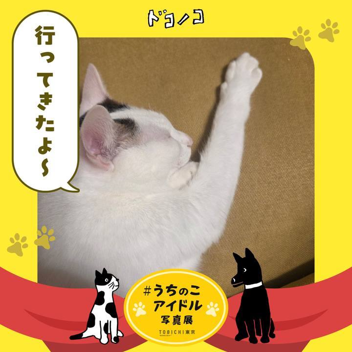 Aae7ea58 a57d 43dd aaaa dda49ecc9de0 1761789363853