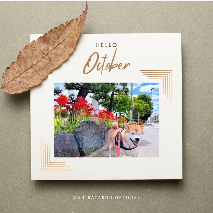 Aae7f540 6a24 477d be61 5cf1c0d7df5d 1664924520366