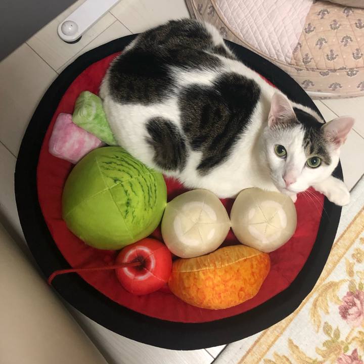 Aae80237 09cc 41e0 8ca5 4af431196380 1591183995779