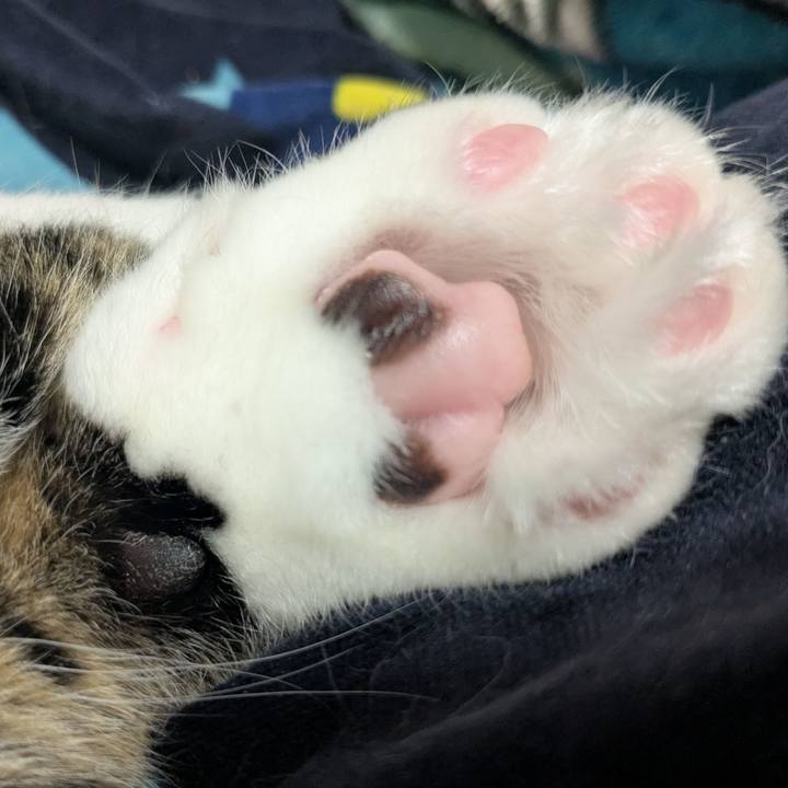 Aae87987 dfc3 466d ba68 d8efab81d5c9 1763368070552