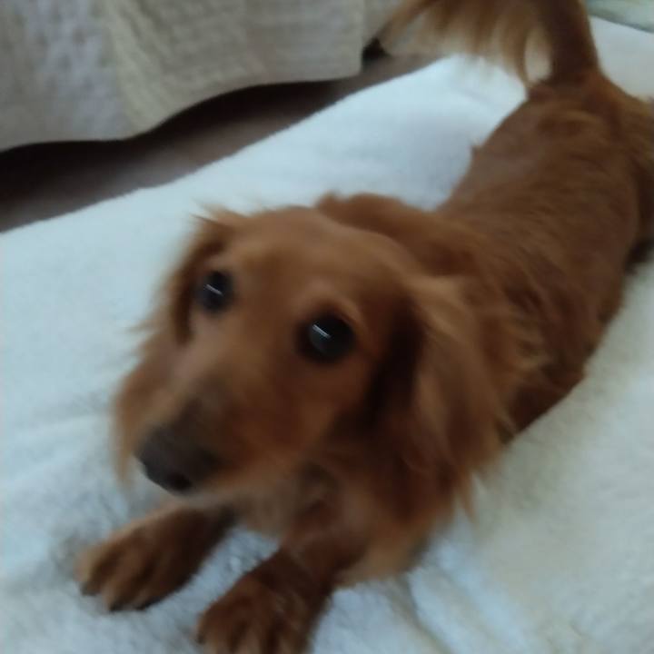 Aae87d1e 7c79 48ab a3f8 87ad1e62b383 1654729802356