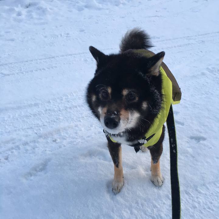 Aae87ffa 73df 4a76 801a 81f8478d07fa 1519693221540