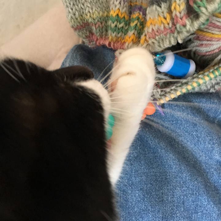 Aae889cb 5808 4e88 86b6 0de40ec9dca5 1524829961311