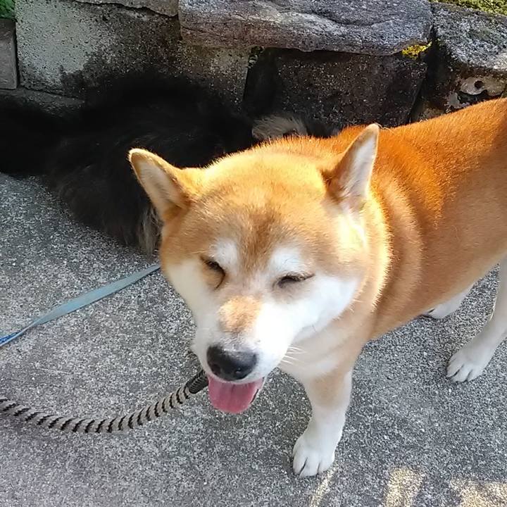 Aae92214 3da8 4fc8 b971 ff00d7f70725 1653268888054