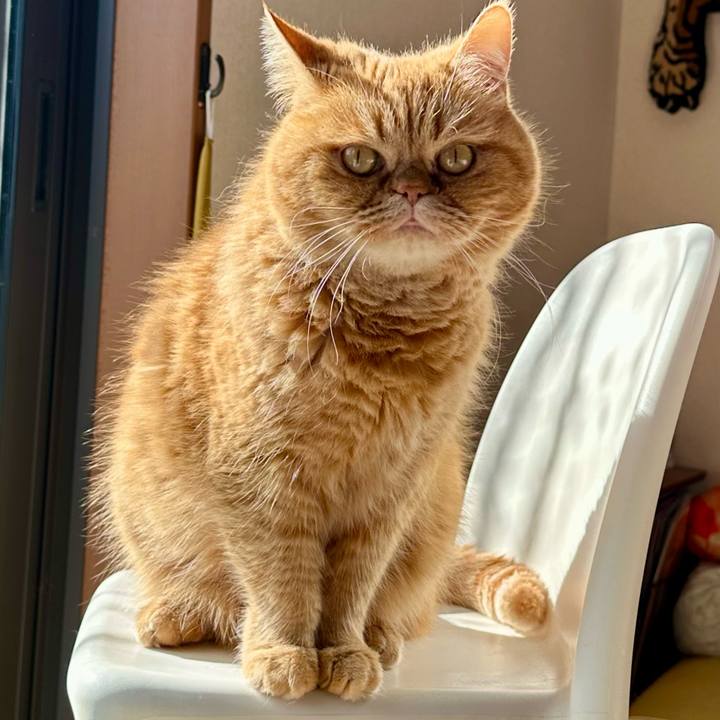 Aae92d99 3ae2 4d96 afbe 94252633fea2 1769220541702