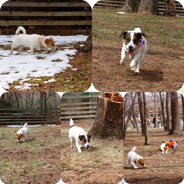 Aae9319f bc0a 4b21 8c42 c15cd9d43065 1555285559906