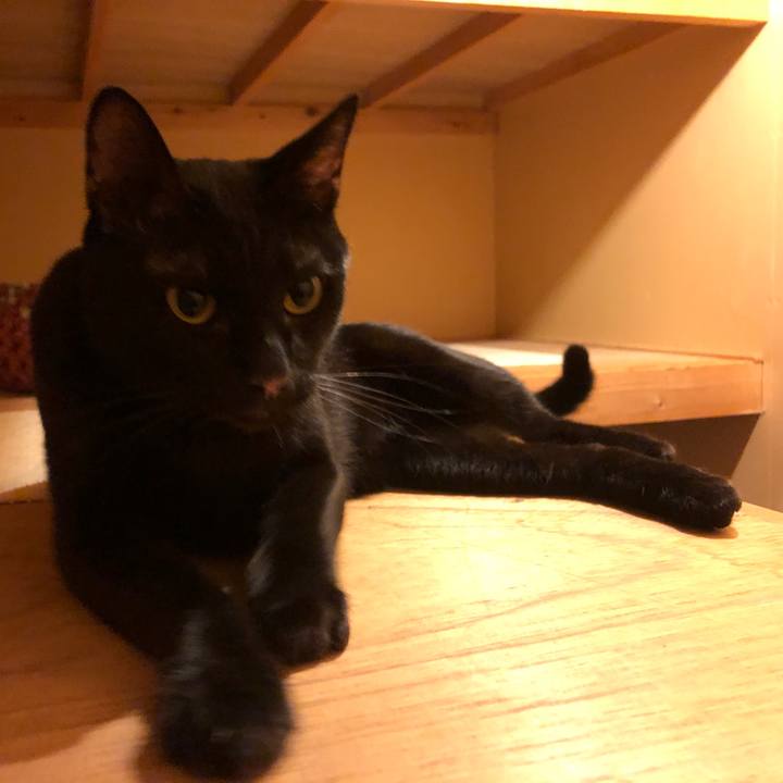 Aae94017 5e04 47fc a2ab 8eb04d67110a 1659705238338