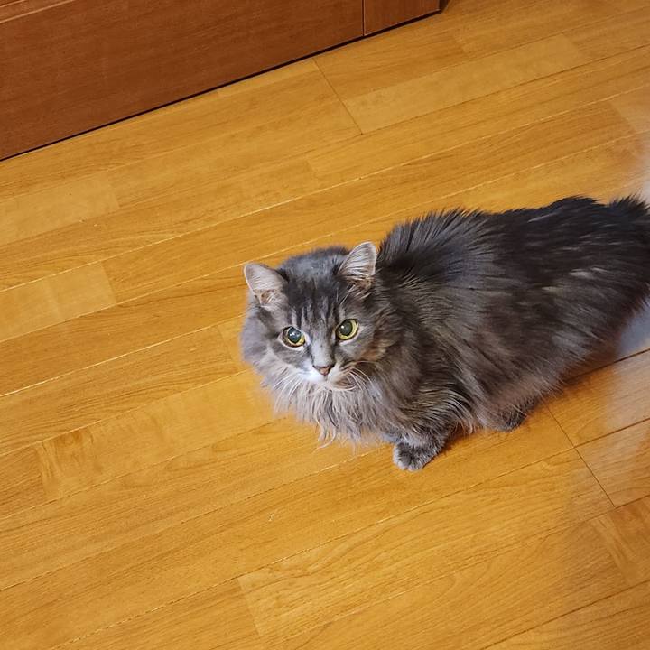 Aae9407e c670 4766 a05e edff3649210d 1736294581826