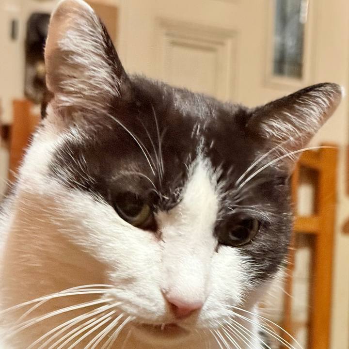 Aae947b5 139d 40f3 a139 f2f406d96911 1735948902145