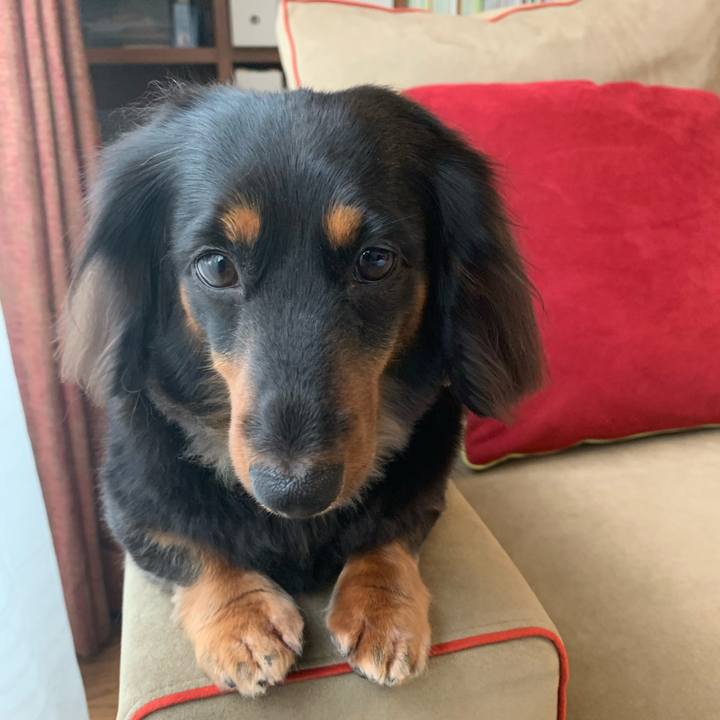 Aae95efa 87bf 4f60 961c 8f75ad38f61f 1592095066409