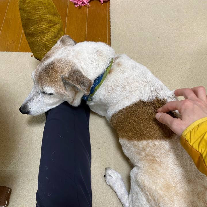 Aae96e17 67f1 49e0 a01e 49c775919c3f 1673754193443