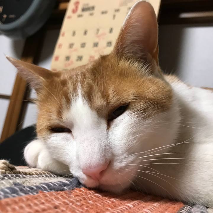 Aae9cc40 1b2c 4193 a312 662b040dfc29 1521730813083