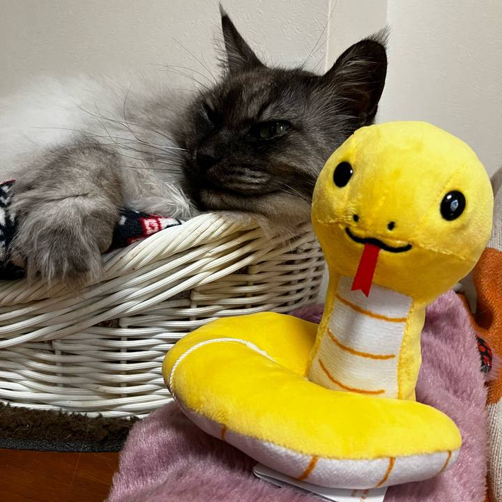 Aae9f39e 7a88 4548 8962 37da24b3bbe8 1737193965476