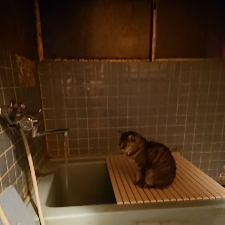 Aae9f425 de85 4162 9c6e 37a704814748 1572426407191