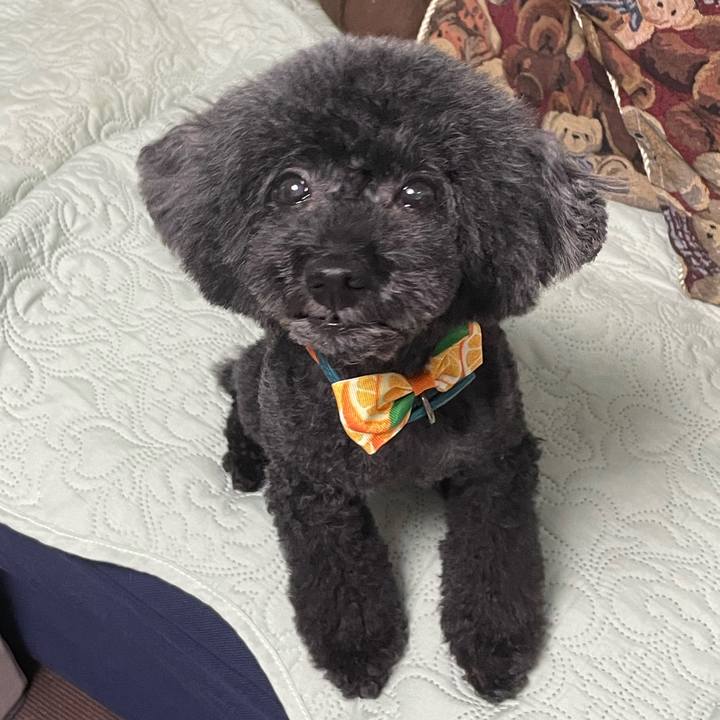 Aaea0eb6 cd24 4eca 81ff 0ce00f689533 1689414053951