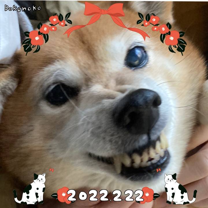 Aaea14f8 f3af 4b84 b4a5 956caba2ba9f 1645497625335