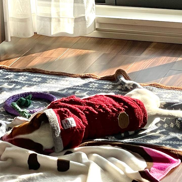 Aaea2a04 142d 45ae 8099 c0cd29a6c41f 1643243532106