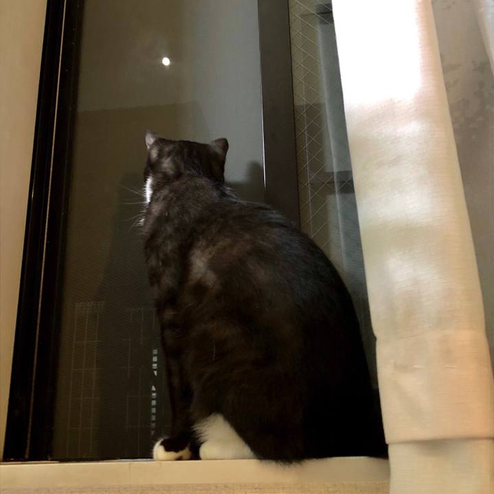 Aaea2ad6 85e0 45f1 90c7 afd102379501 1537795658892