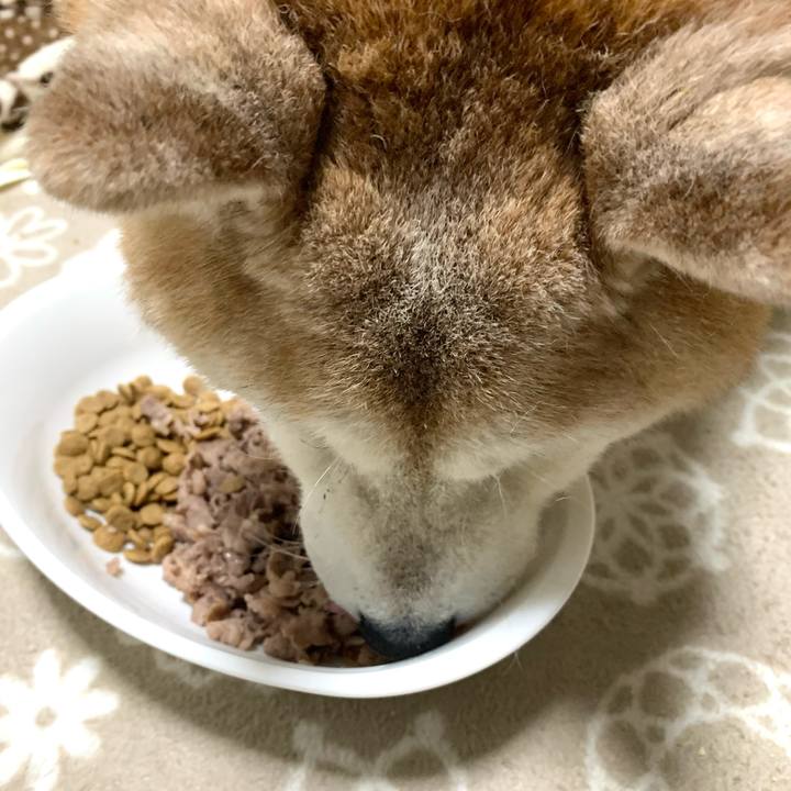 Aaea342f 99ef 4516 bea7 b44acf1c2104 1686221779571