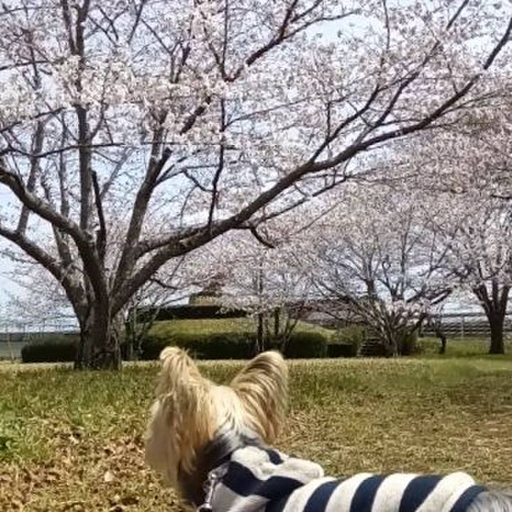 Aaea3c18 c7c6 406e a9de 46c65cadc136 1743753299352