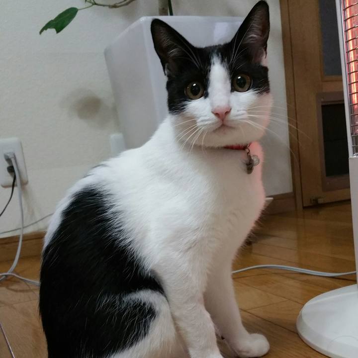 Aaea4981 c1df 4d29 be81 3ce8ceb5b0a4 1513817923495