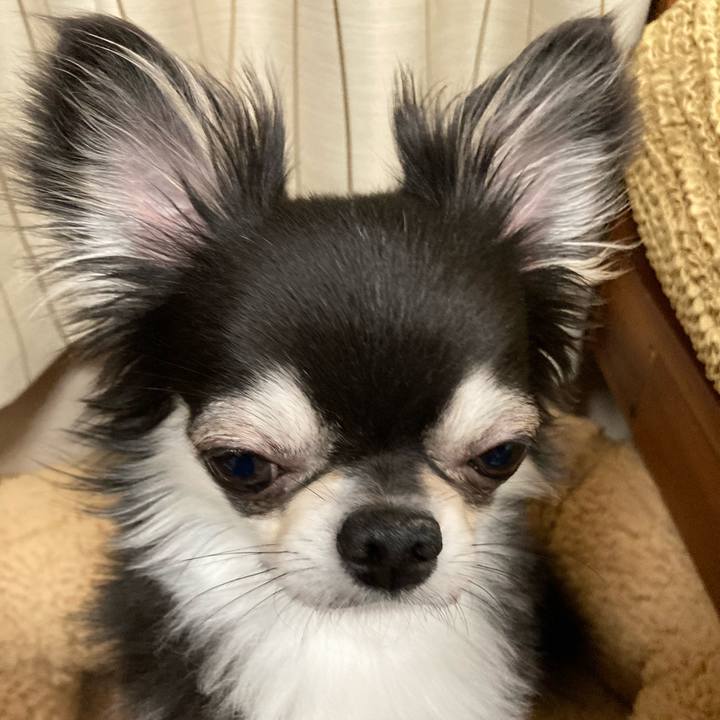 Aaea6ae8 3c63 4a09 881b f36fa81c9927 1650806844359