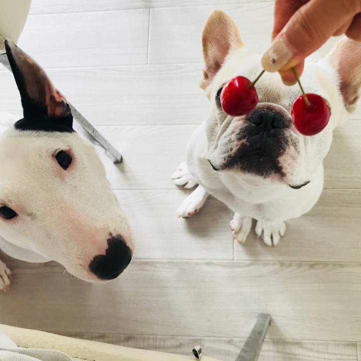 Aaea851a 5550 4a35 908e 15d66c69e5e8 1530507508491