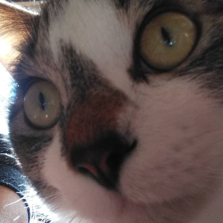 Aaea857e f01b 4f7a b47b b43d61de1554 1610554236295