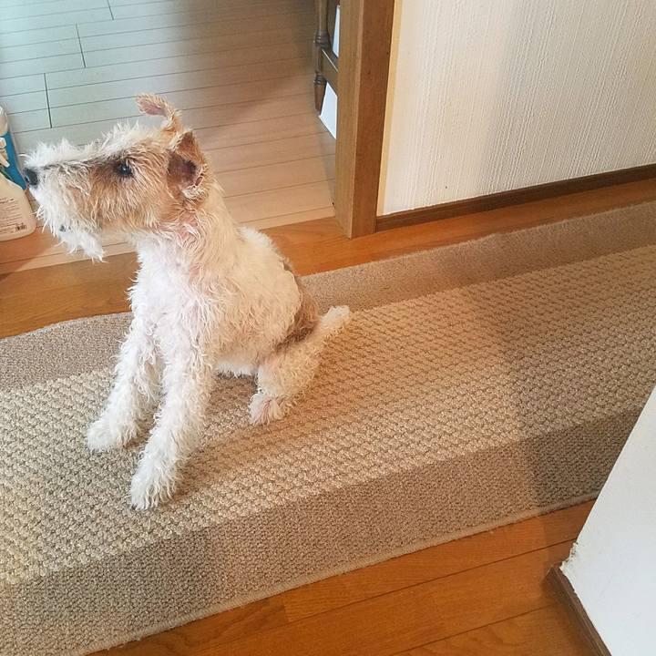 Aaeadd6b d6a8 4799 87c6 e4506716bada 1527379447097