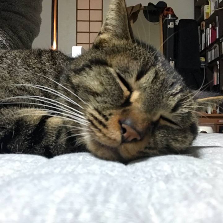 Aaeaf9f8 3d33 4960 a361 bd2edb1f5451 1514302064746