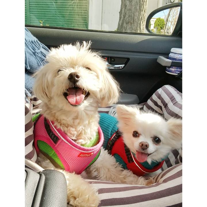 Aaeafc00 5d16 44a0 87ef f607b42d72ac 1647854435053