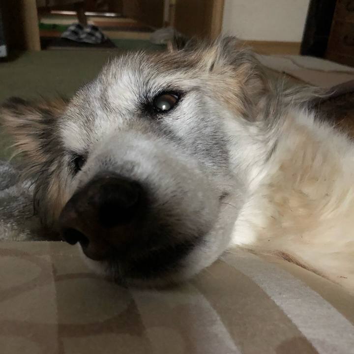 Aaeb5a7c bdf5 4469 9e6e 9c7f80d63475 1550183605022