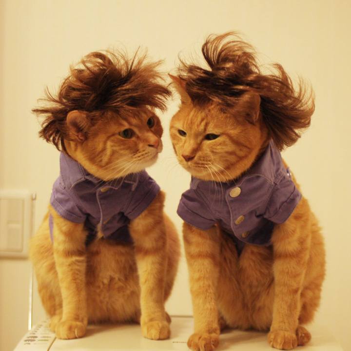 Aaeb63c2 45d5 4ba9 bc8e c6b2db2cbaad 1729586662148