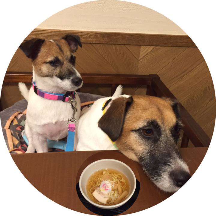 Aaeba782 5c9b 4b1a 94ca c738e22c1fac 1566739310122