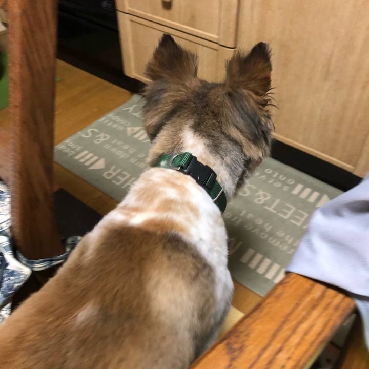 Aaebbe78 d5f5 4693 a44c 42d8c94f7a29 1532944571599