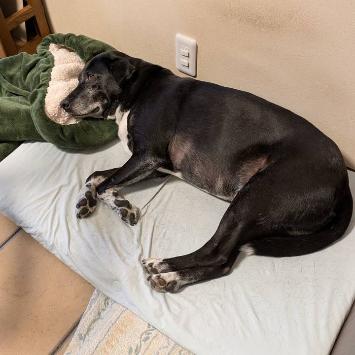 Aaec03aa 846b 4eb1 b0d0 5965f690128f 1753229302347