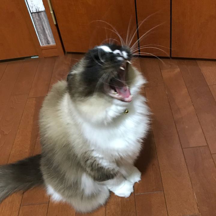 Aaec0d9b 74bc 472a 9289 c14c7f3c837f 1520548112997